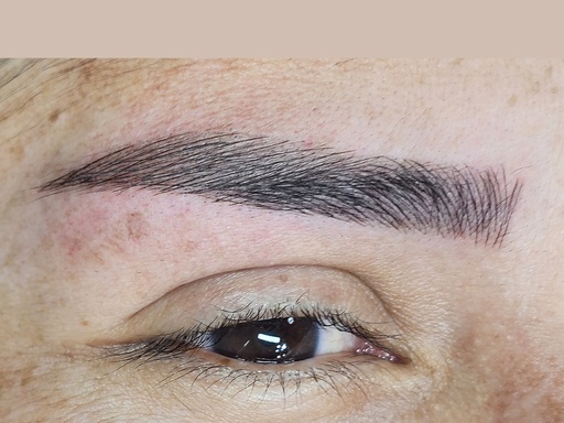 MICROBLADING TECNICA PELO A PELO