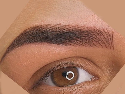 MICROPIGMENTACION TECNICA MIXTA (LATINBROWS)