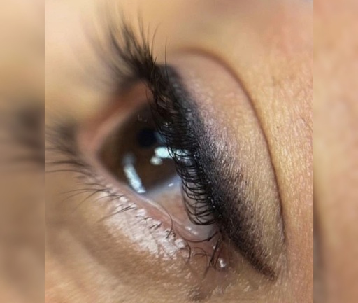 MICROPIGMENTACION TECNICA SOFTLINER